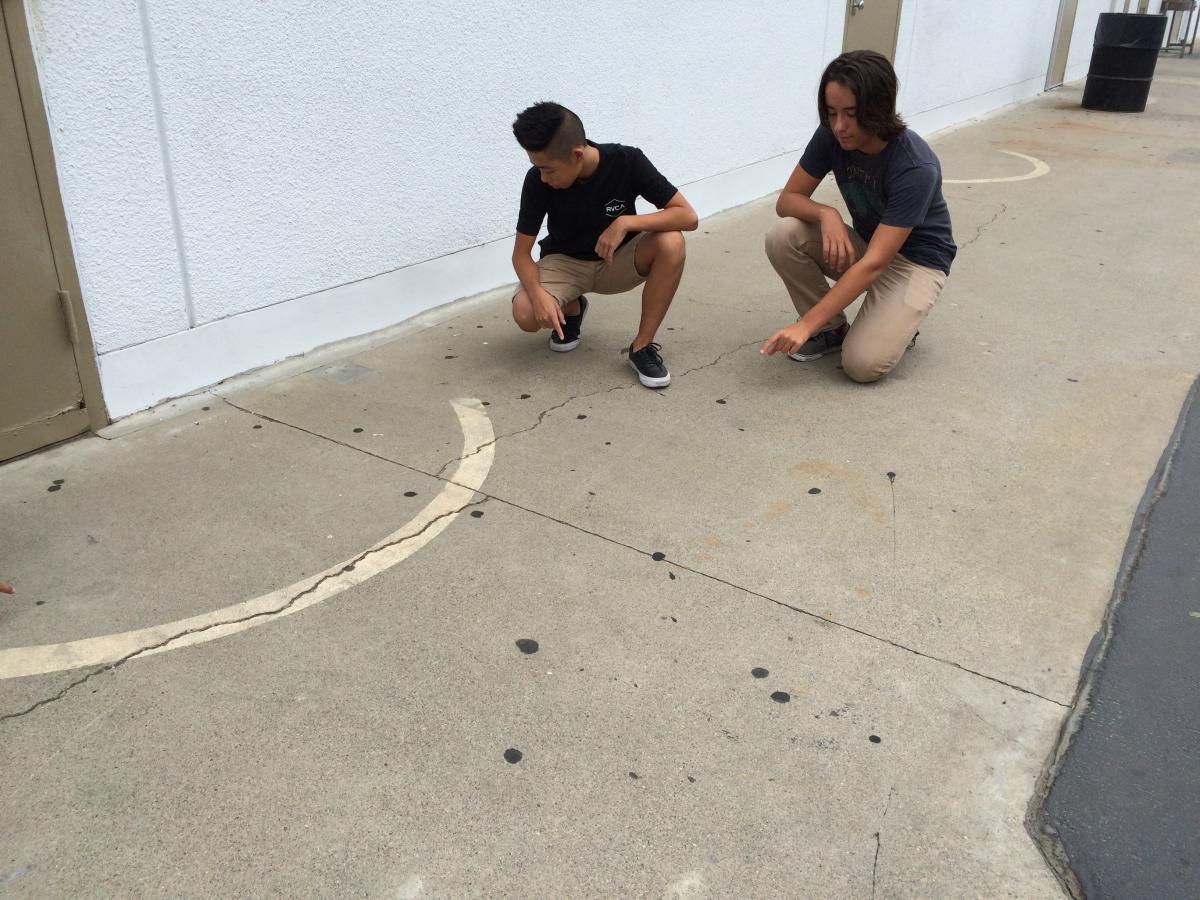 [Counting the number of gum on the ground]